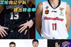 关于里程碑夜菲尼克斯太阳迎来里程碑，CBA季后赛加时末段刷纪录，话题不断，年轻球员得到机会的信息开云APP