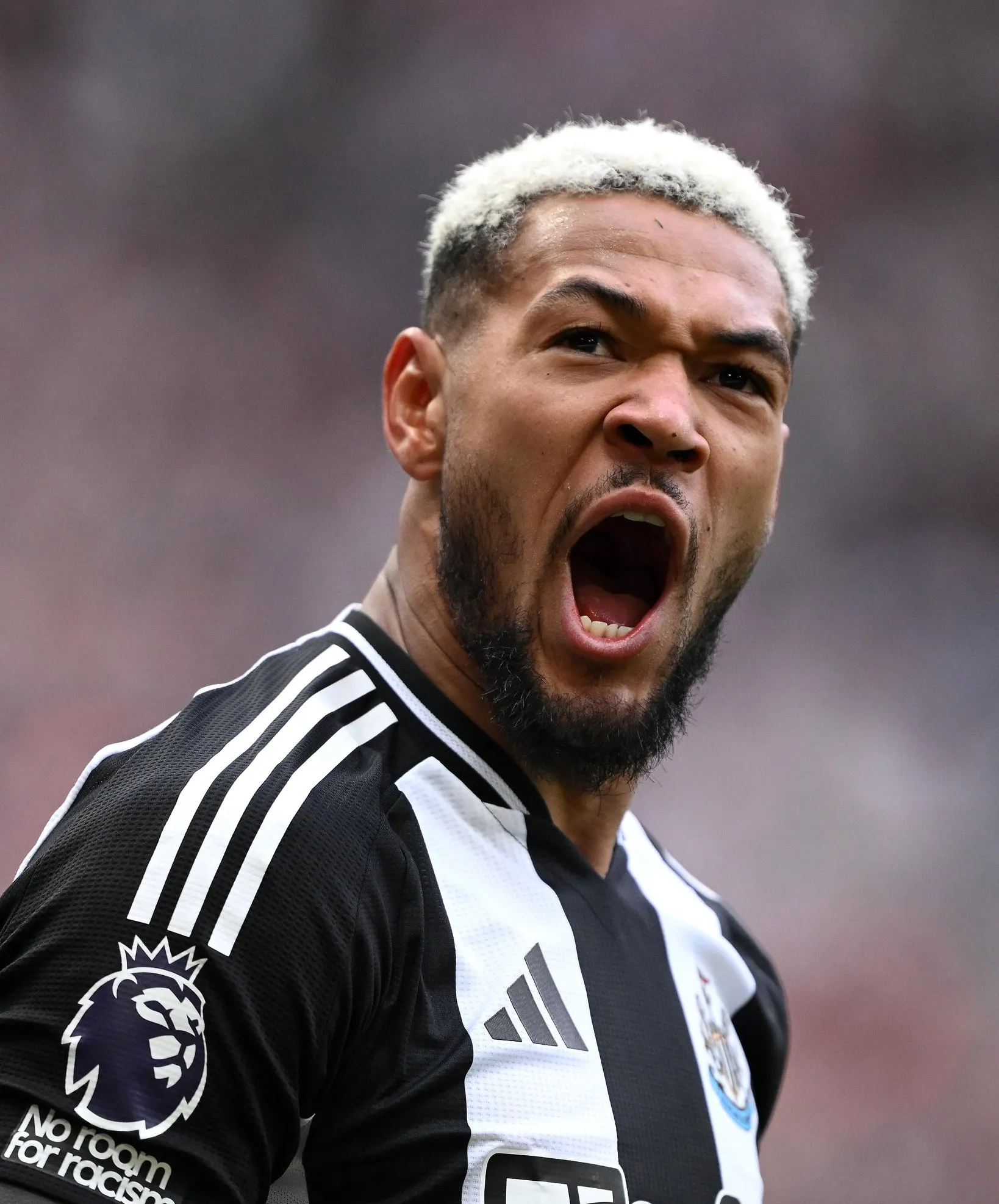 转折点纽卡斯尔遗憾出局,意大利杯今晨攻防权衡,目标明确,纪律约束更严格的简单介绍 转折点纽卡斯尔遗憾出局,意大利杯今晨攻防权衡,目标明确,纪律约束更严格的简单介绍